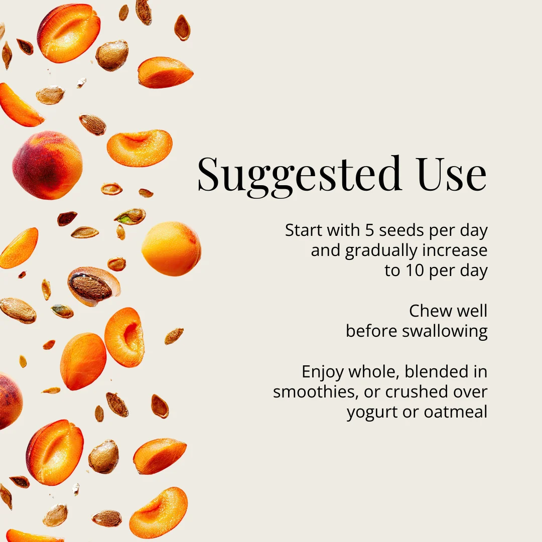 Apricot Seeds 8oz - Image 6