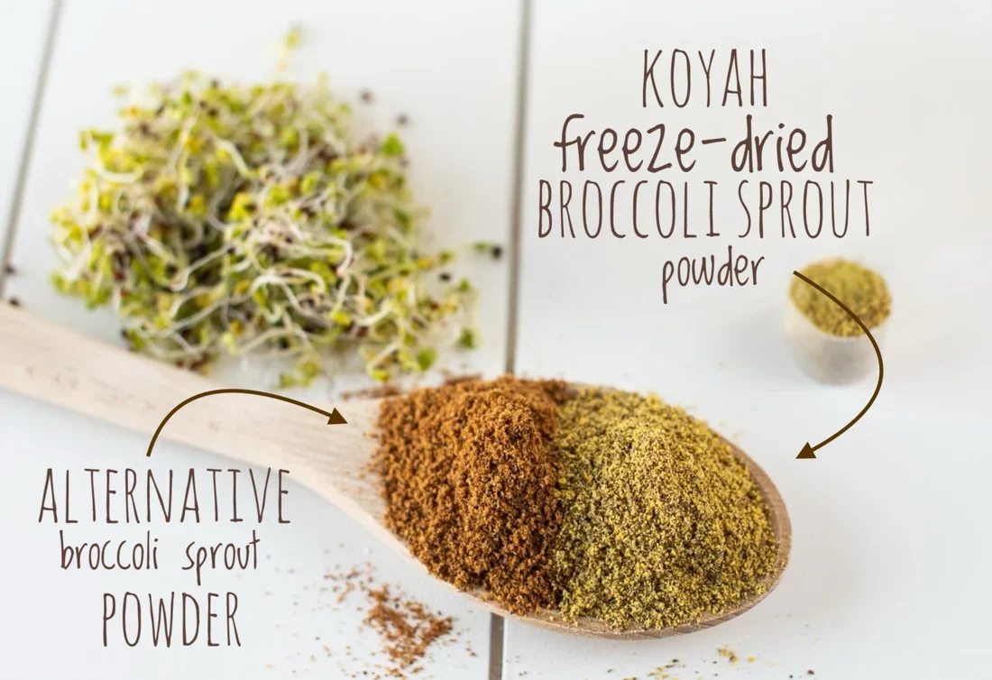 Organic Broccoli Sprouts Powder - Image 4